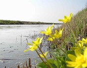 polder 0759.jpg